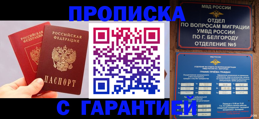 прописка 2025 в Елизово